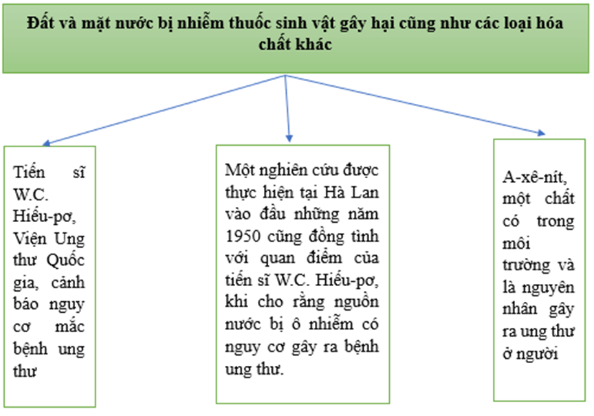 Soạn bài Sự ô nhiễm nguồn nước trên bề mặt trái đất và hậu quả | Hay nhất Soạn văn 12 Chân trời sáng tạo