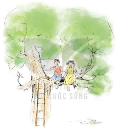  Ngôi nhà trên cây | Ngữ văn lớp 7 Kết nối tri thức