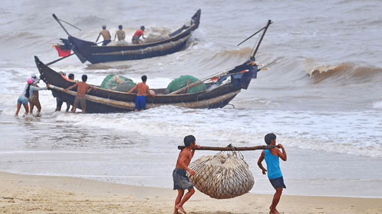 Soạn bài Quê hương | Soạn văn 9 Chân trời sáng tạo hay nhất