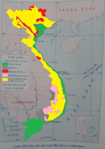 Tập bản đồ Địa Lí lớp 8 Bài 36 (ngắn nhất): Đặc điểm đất Việt Nam