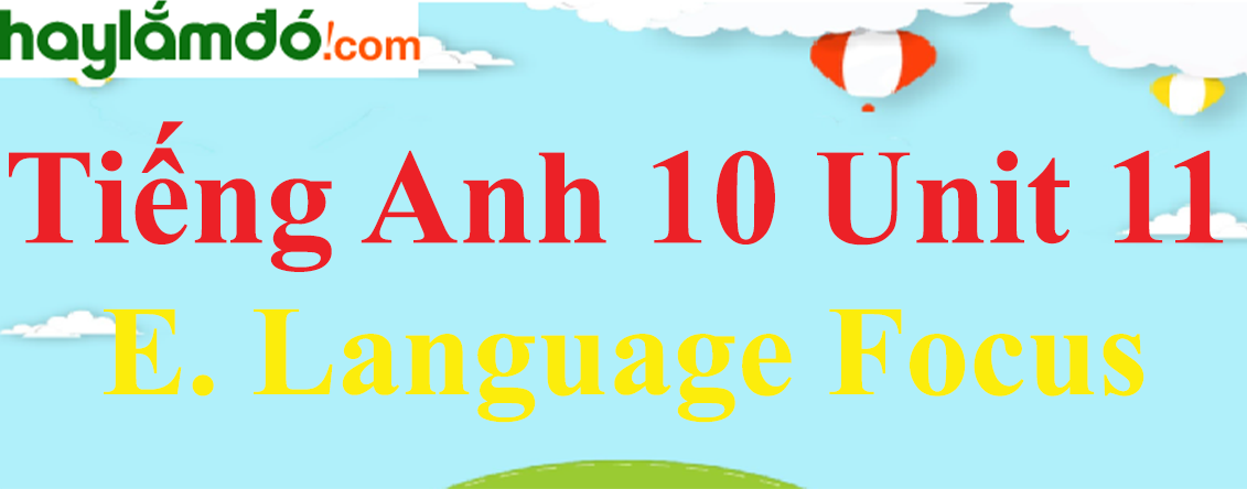 Tiếng Anh lớp 10 Unit 11 E. Language Focus trang 118-119-120