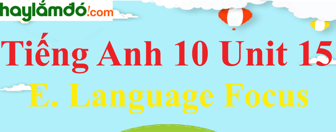 Tiếng Anh lớp 10 Unit 15 E. Language Focus trang 164-165