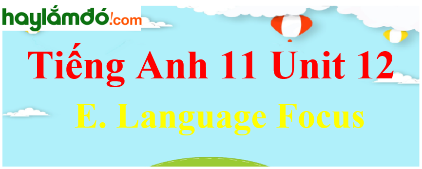 Tiếng Anh lớp 11 Unit 12 E. Language Focus Trang 144-145