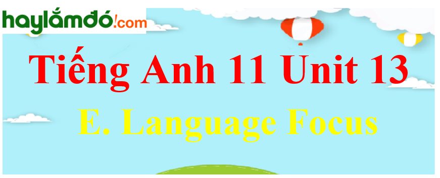 Tiếng Anh lớp 11 Unit 13 E. Language Focus Trang 151-152-153