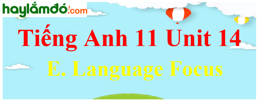 Tiếng Anh lớp 11 Unit 14 E. Language Focus Trang 161-162