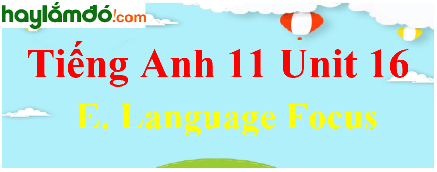 Tiếng Anh lớp 11 Unit 16 E. Language Focus Trang 185-186