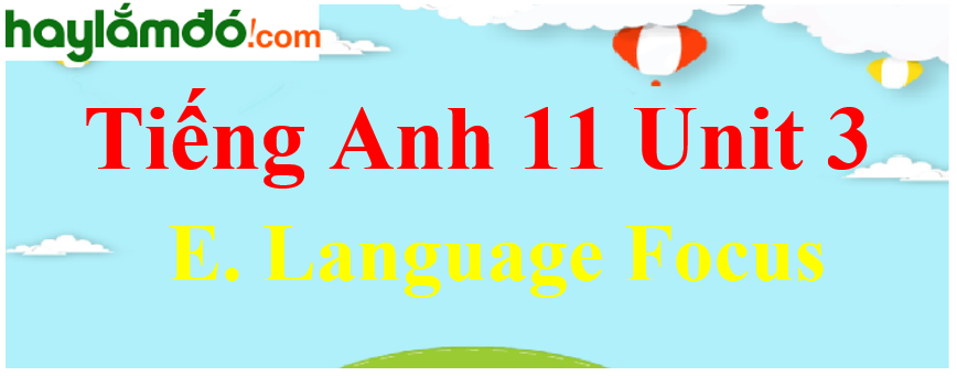 Tiếng Anh lớp 11 Unit 3 E. Language Focus Trang 39-40-41