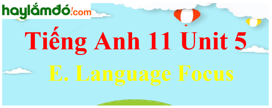 Tiếng Anh lớp 11 Unit 5 E. Language Focus Trang 63-64-65