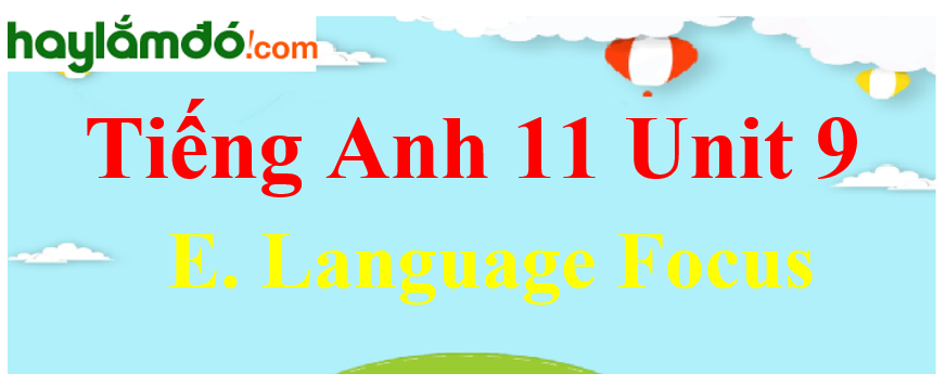 Tiếng Anh lớp 11 Unit 9 E. Language Focus Trang 108-109-110
