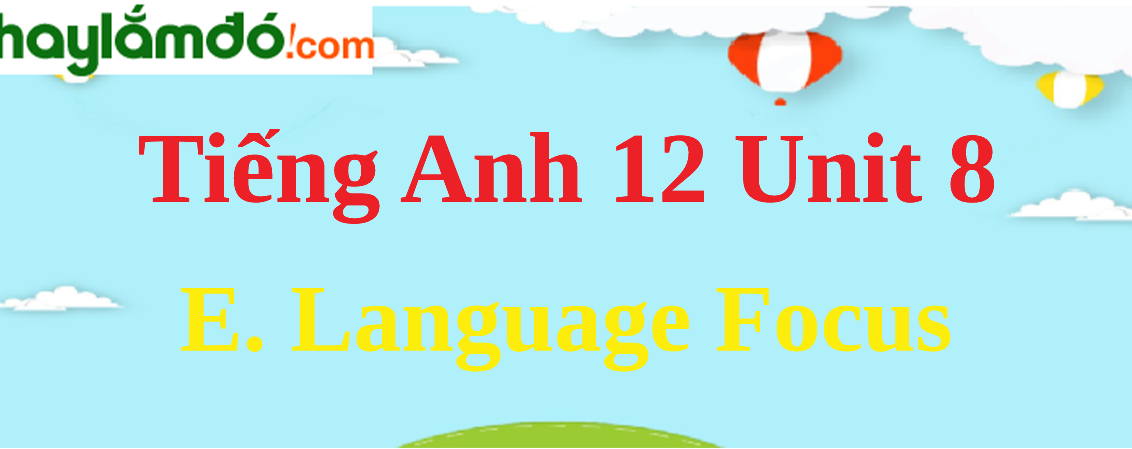 Tiếng Anh lớp 12 Unit 8 E. Language Focus trang 90-92