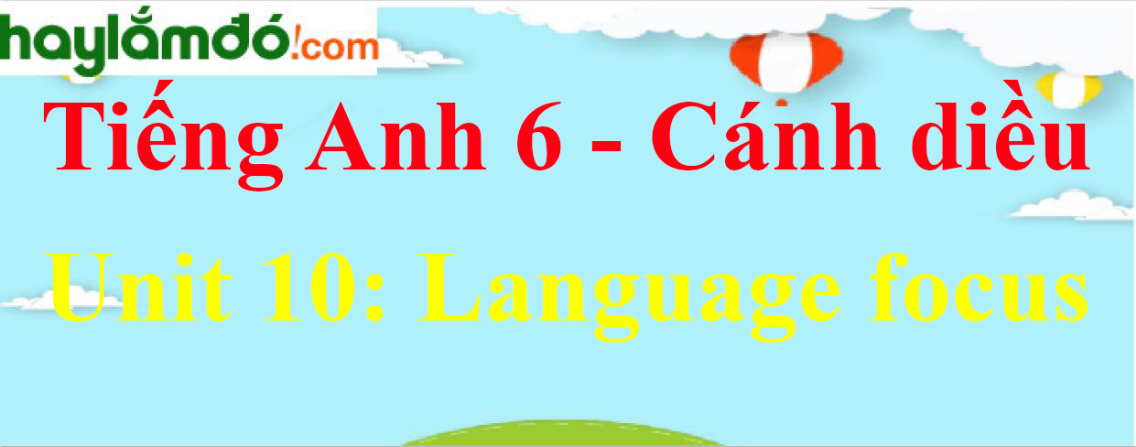 Giải Tiếng Anh lớp 6 Unit 10 Language focus trang 102 - 103