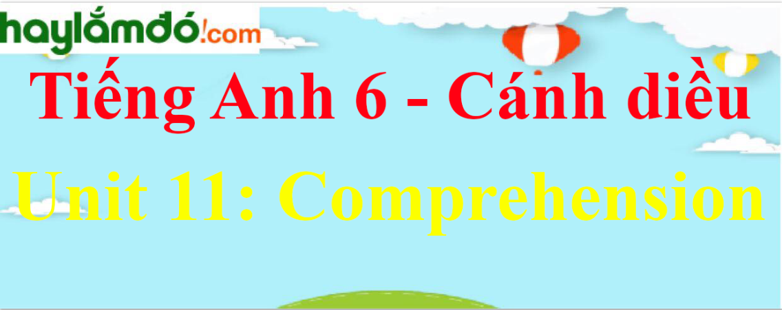 Giải Tiếng Anh lớp 6 Unit 11 Comprehension trang 118