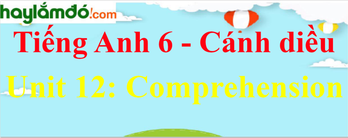 Giải Tiếng Anh lớp 6 Unit 12 Comprehension trang 128