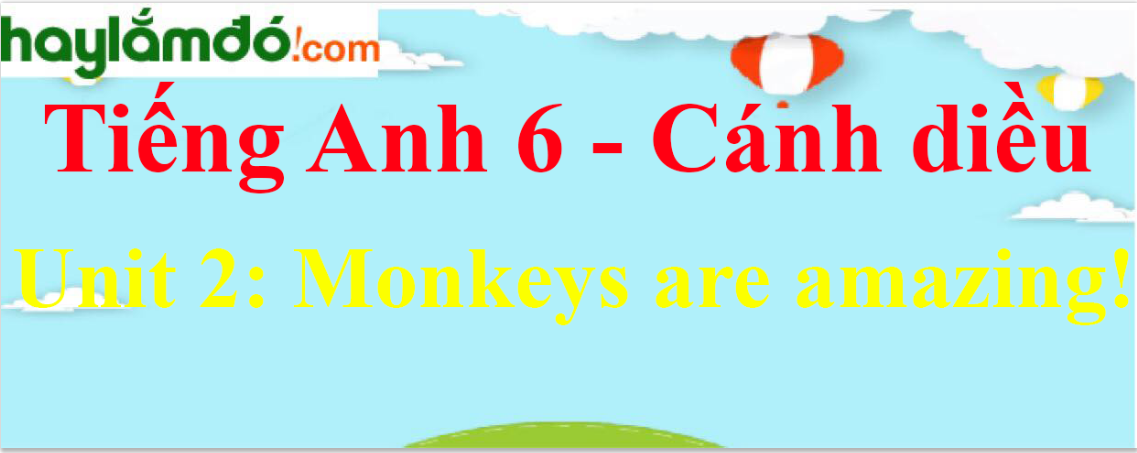 Giải Tiếng Anh lớp 6 Unit 2: Monkeys are amazing!