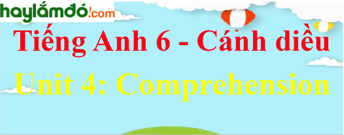 Giải Tiếng Anh lớp 6 Unit 4 Comprehension trang 46