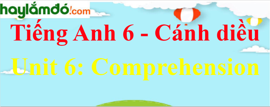 Giải Tiếng Anh lớp 6 Unit 6 Comprehension trang 66