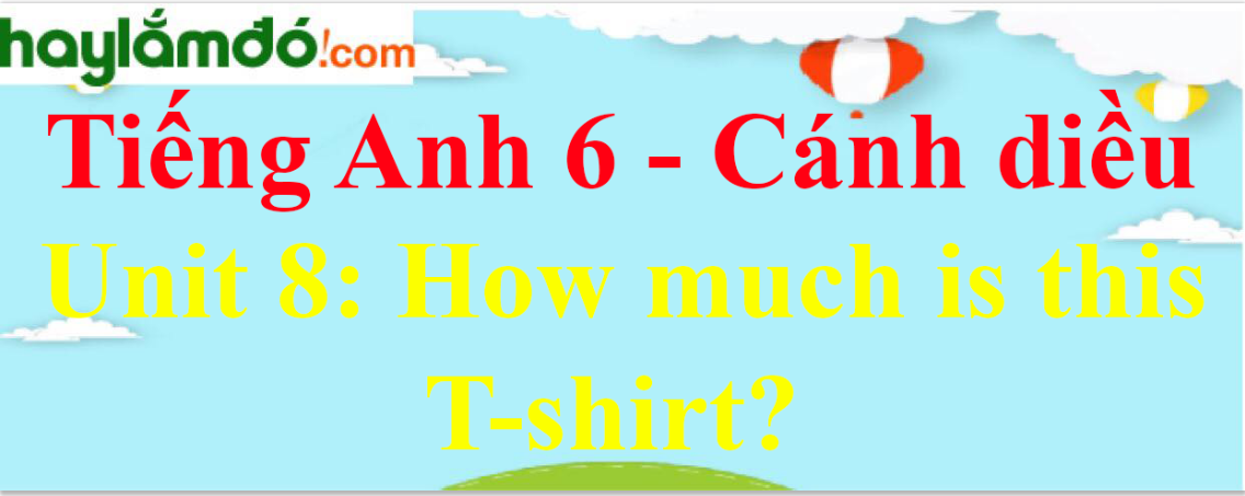 Giải Tiếng Anh lớp 6 Unit 8: How much is this T-shirt?