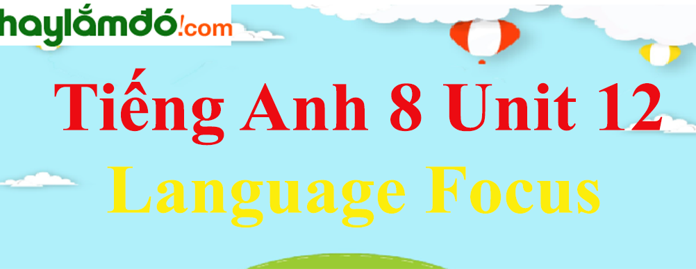 Tiếng Anh lớp 8 Unit 12 Language Focus trang 119-120
