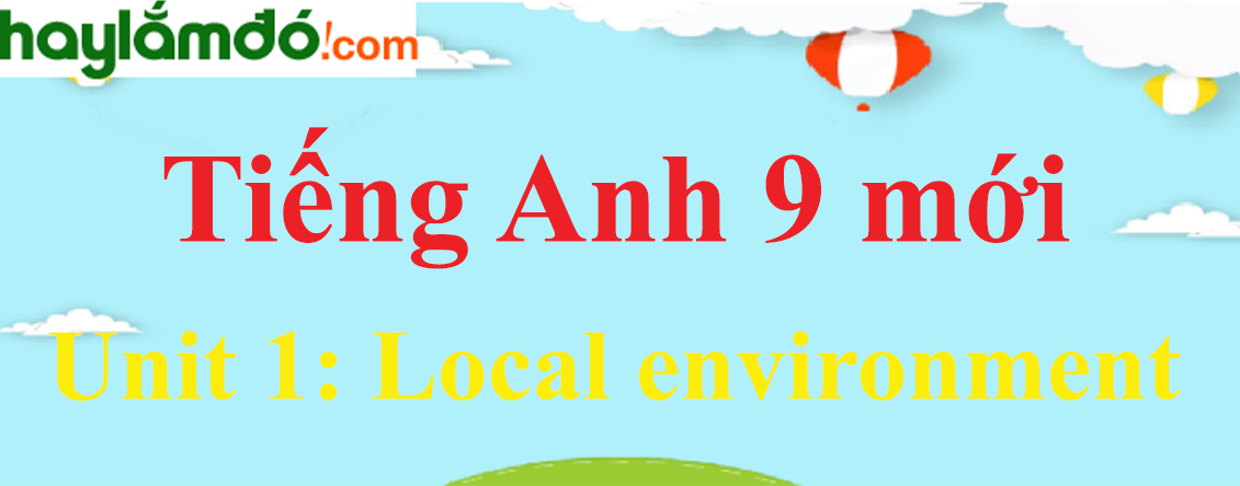 Tiếng Anh lớp 9 mới Unit 1: Local environment