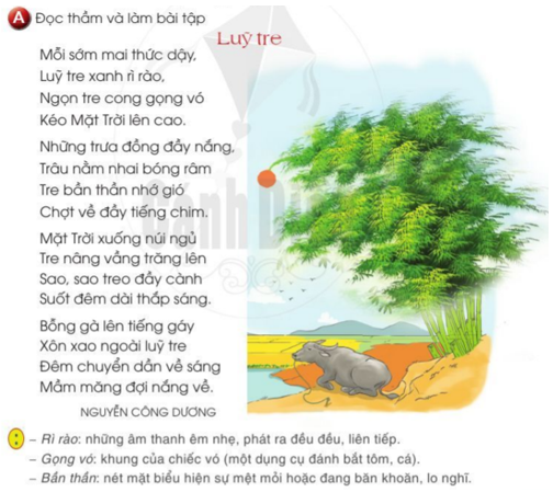 Đánh giá kĩ năng hiểu biết và viết trang 77 - 78 - 79 Tiếng Việt lớp 2 Tập 2 | Cánh diều
