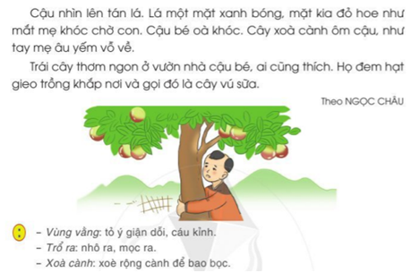 Sự tích cây vú sữa trang 123 - 124 Tiếng Việt lớp 2 Tập 1 | Cánh diều