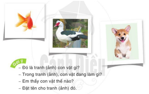 Nói và đáp lại lời khen lời an ủi trang 8 Tiếng Việt lớp 2 Tập 2 | Cánh diều