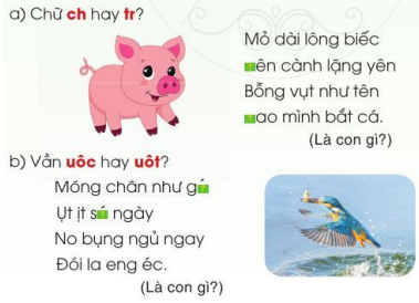 Viết trang 23 - 24 Tiếng Việt lớp 2 Tập 2 | Cánh diều