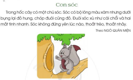Viết trang 66 - 67 Tiếng Việt lớp 2 Tập 2 | Cánh diều