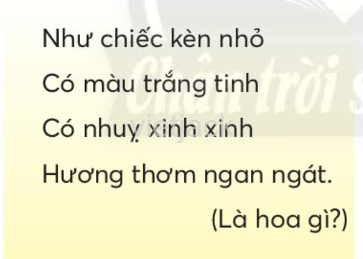 Tiếng Việt lớp 2 Bài 4: Hoa mai vàng trang 53, 54, 55, 56, 57 - Chân trời