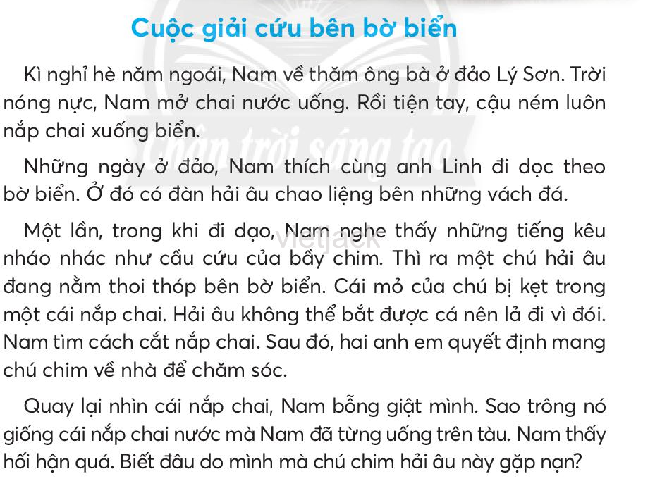 Tiếng Việt lớp 2 Bài 6: Cuộc giải cứu bên bờ biển trang 133, 134, 135, 136, 137 - Chân trời