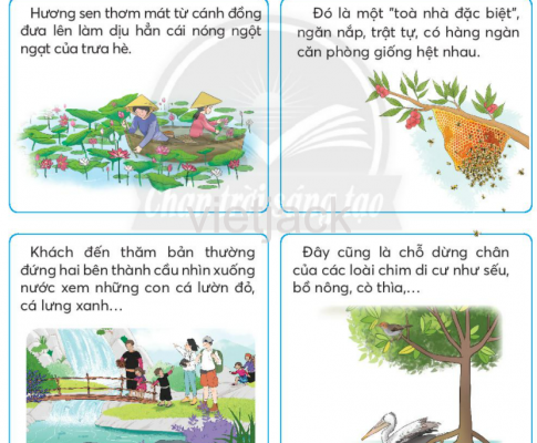 Tiếng Việt lớp 2 Ôn tập 2 Tập 2 trang 75, 76 - Chân trời