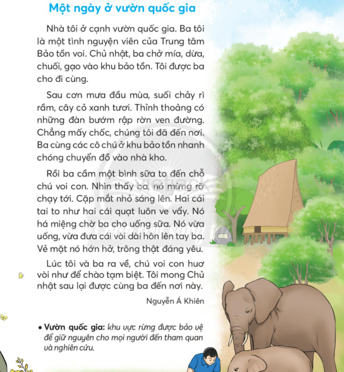Tiếng Việt lớp 2 Ôn tập 5 Tập 2 trang 80, 81 - Chân trời