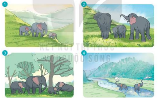 Đọc: Bầy voi rừng Trường Sơn trang 35, 36 Tiếng Việt lớp 3 Tập 2 | Kết nối tri thức