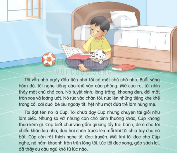 Đọc: Bạn nhỏ trong nhà Tiếng Việt lớp 3 Tập 1 | Kết nối tri thức