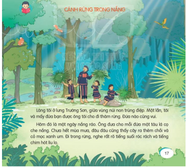 Đọc: Cánh rừng trong nắng trang 17, 18 Tiếng Việt lớp 3 Tập 1 | Kết nối tri thức