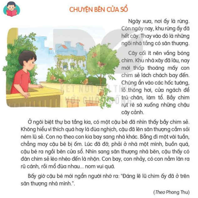 Đọc: Chuyện bên của sổ trang 49, 50 Tiếng Việt lớp 3 Tập 2 | Kết nối tri thức