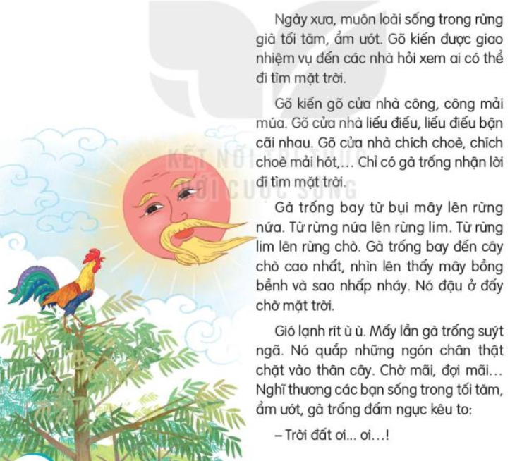 Đọc: Đi tìm mặt trời trang 118, 119 Tiếng Việt lớp 3 Tập 1 | Kết nối tri thức