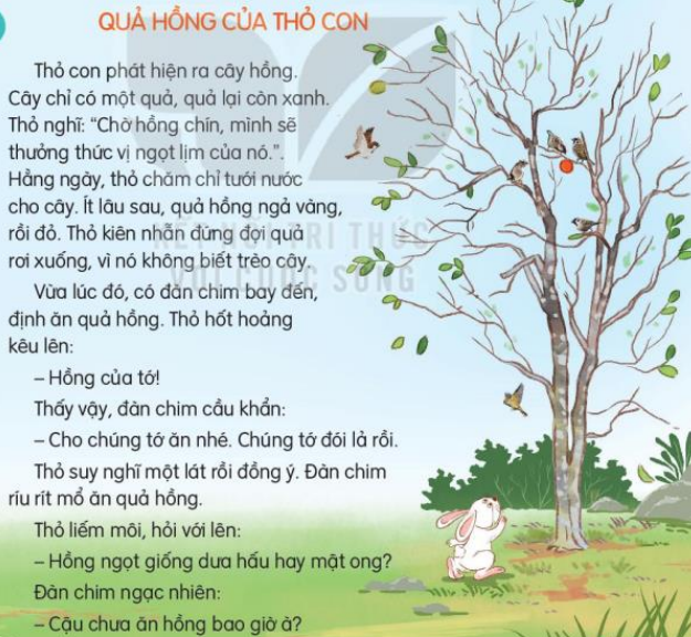 Đọc: Quả hồng của thỏ con trang 45, 46 Tiếng Việt lớp 3 Tập 2 | Kết nối tri thức