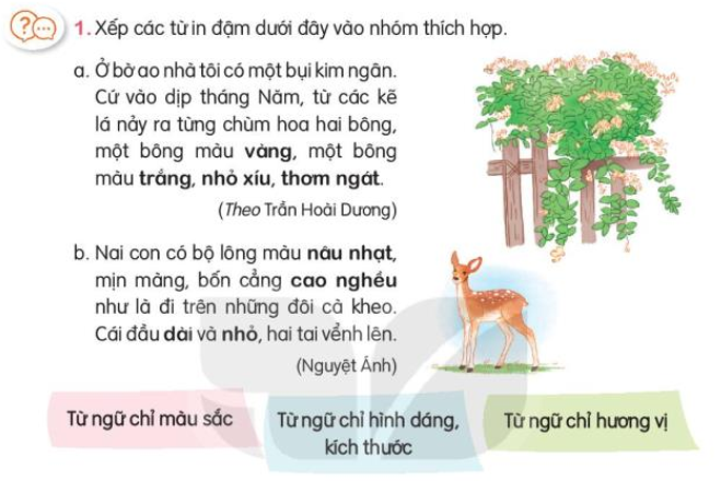 Luyện tập trang 24, 25 Tiếng Việt lớp 3 Tập 1 | Kết nối tri thức