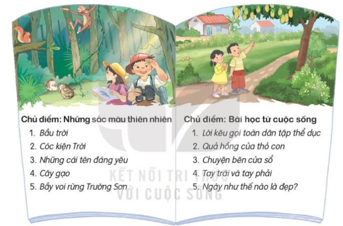 Tiết 1, 2 trang 72, 73 Tiếng Việt lớp 3 Tập 2 | Kết nối tri thức