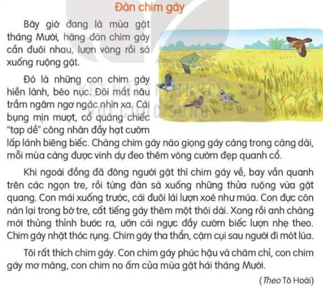 Tiết 3, 4 trang 139, 140 Tiếng Việt lớp 3 Tập 2 | Kết nối tri thức