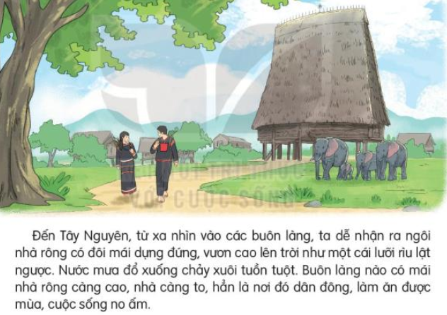 Viết trang 98 Tiếng Việt lớp 3 Tập 2 | Kết nối tri thức