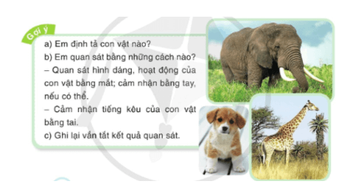 Luyện tập tả con vật trang 26, 27 lớp 4 | Cánh diều Giải Tiếng Việt lớp 4