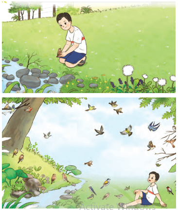 Bài 5: Quà tặng của chim non Tiếng Việt lớp 4 Chân trời sáng tạo