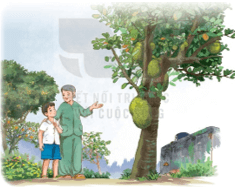 Bài 13: Vườn của ông tôi Tiếng Việt lớp 4 Kết nối tri thức