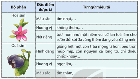 Bài 17: Cây đa quê hương Tiếng Việt lớp 4 Kết nối tri thức