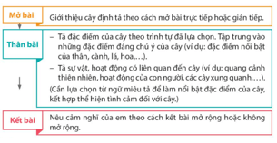 Bài 22: Cái cầu Tiếng Việt lớp 4 Kết nối tri thức