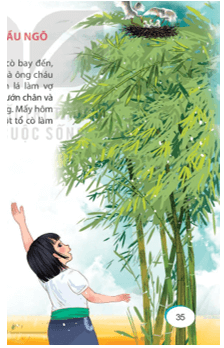 Bài 8: Trên khóm tre đầu ngõ Tiếng Việt lớp 4 Kết nối tri thức