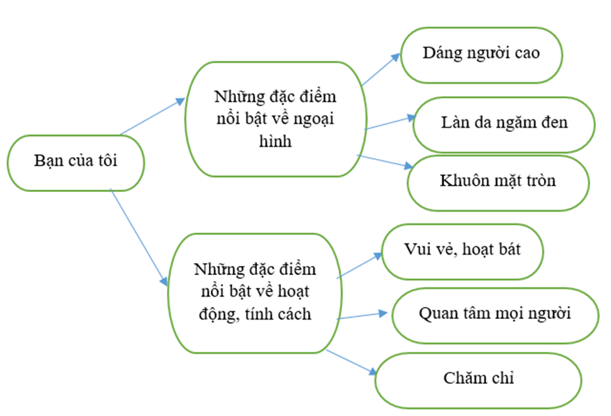 5+ Quan sát một người bạn đang học tập (hoặc lao động, vui chơi), ghi lại kết quả quan sát