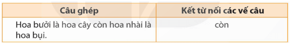 Luyện từ và câu lớp 5 trang 19, 20 (Cách nối các vế câu ghép) | Kết nối tri thức Giải Tiếng Việt lớp 5